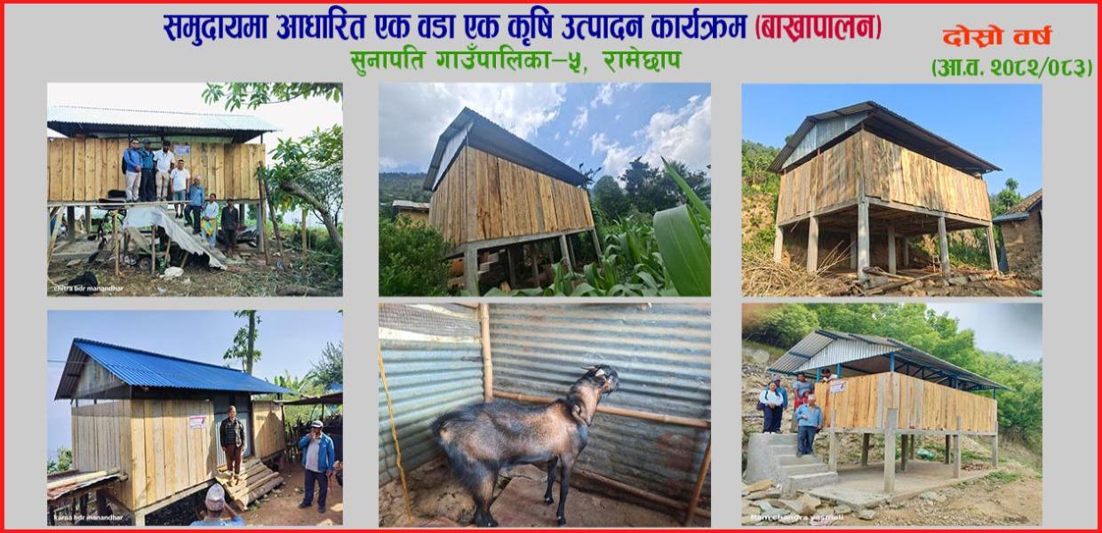 समुदायमा आधारित एक वडा एक कृषि उत्पादन कार्यक्रम (बाखापालन), सुनापति गा.पा .- ५, रामेछाप