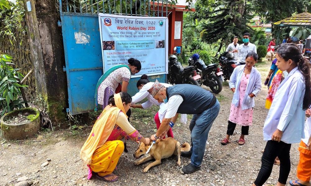 बिश्व रेबिज दिवसको अवसरमा खोप कार्यक्रम